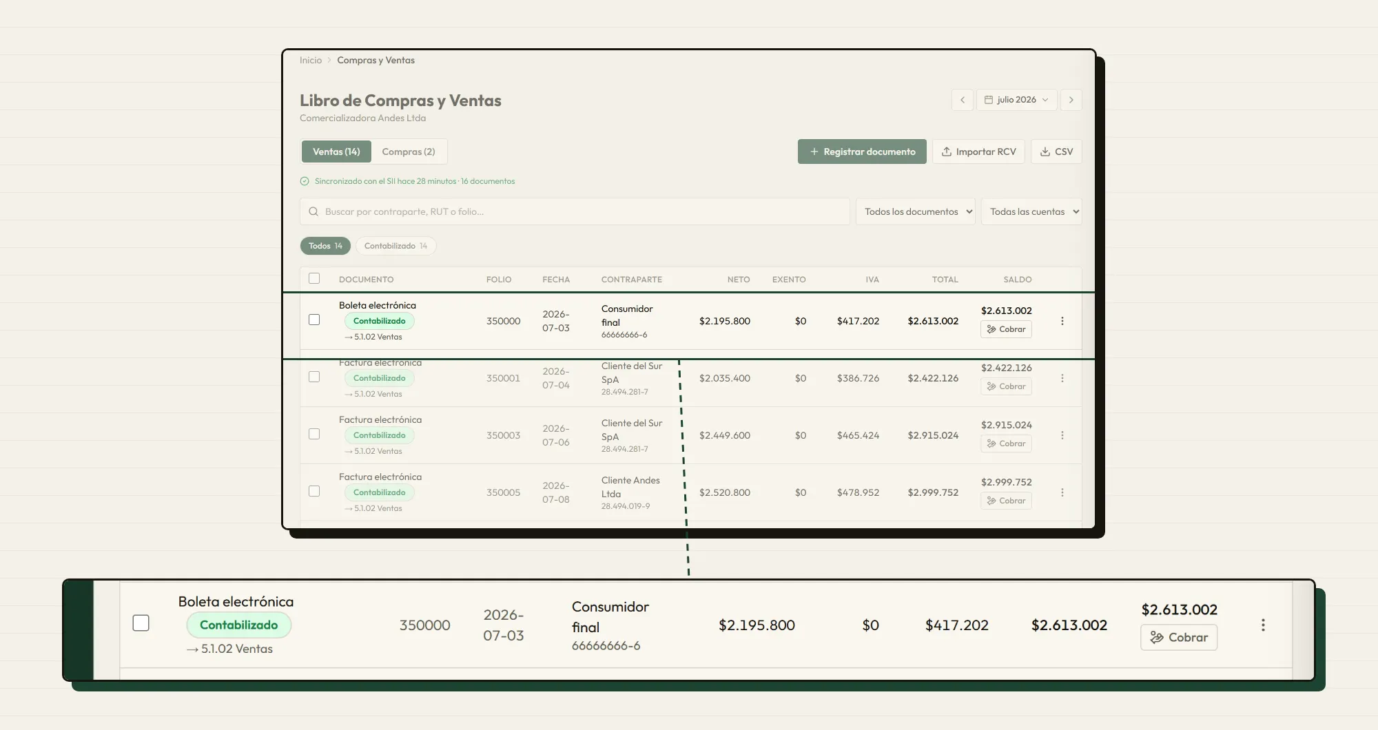 Libro de compras y ventas del mes, con cada documento en su cuenta contable